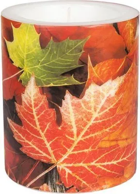 Produktbild von Kerze rund Maple Leaves - Ahornblätter Ø10cm, Höhe 12cm
