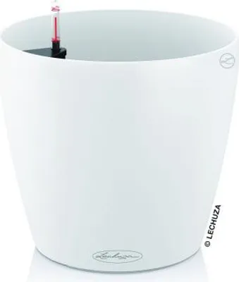 Produktbild von LECHUZA Classico Color 21, Topfpflanzer, Freistehend, Polypropylen (PP), Weiß, Rechteck, Drinnen