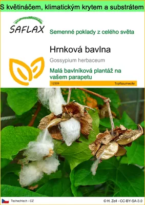 Obrázek produktu pro SAFLAX Garden to go - hrnková bavlna - Gossypium herbaceum - 12 Semena - S květináčem, klimatickou poklicí a pěstebním substrátem