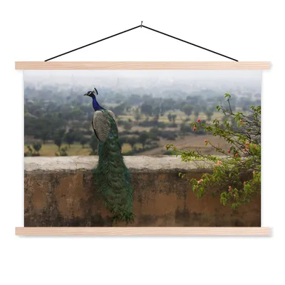 Obrázek produktu pro MuchoWow® Textilní plakát - Páv - Nástěnné - Příroda - 60x40cm - S hnědými lamelami