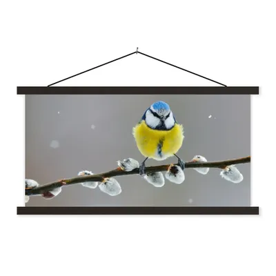 Produktbild von MuchoWow® Textilposter Blaumeise - Vogel - Zweig - Gelb - Blau 120x60 cm mit schwarzem Rahmen - Dekoration Schlafzimmer