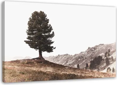 Produktbild von Leinwandbild baum in den hügeln 100x70 cm Feeby braun wandbild bereit zum aufhängen