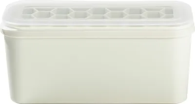 Produktbild von Eiswürfelform - 25 x 10 cm - Creme - Transparent - Polypropylen - Silikon - mit Deckel