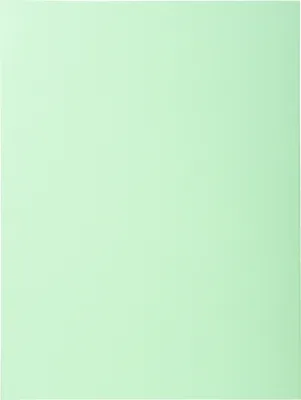 Produktbild von Exacompta 5x 100er Aktendeckel SUPER 160 24x32cm - Hellgrün - 340004E