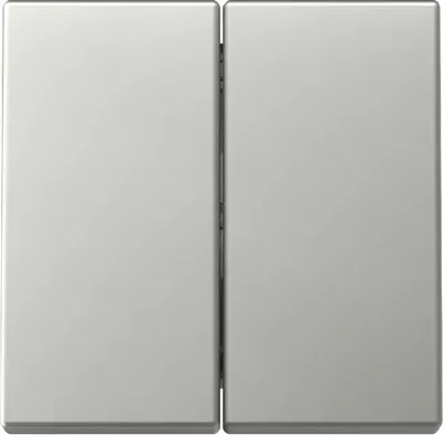 Produktbild von GIRA 3295600 Wippe 2fach System 55 Edelstahl