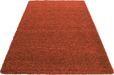 Produktbild von Teppich Wohnzimmer Hochflor Terrakotta 200x290 Rechteck Unicolor - Einfarbig aus Polypropylen