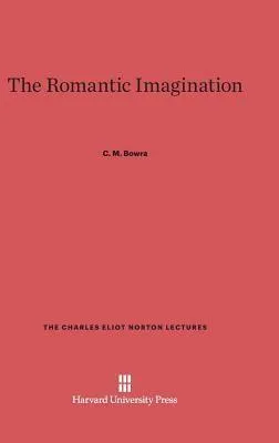 Produktbild von The Romantic Imagination