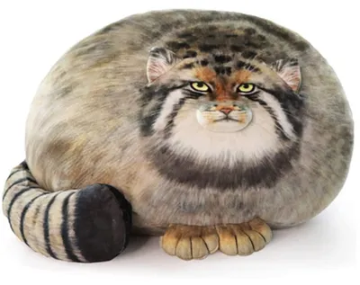 Image de Chat en peluche, 40 cm, idéal pour les chambres d'enfants, coussin douillet