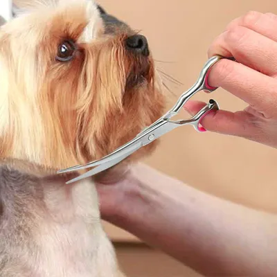 Produktbild von Gebogene Haarschere 6 Zoll Edelstahl für Hunde Katzen