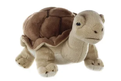 Image de Tortue 28 cm brun animal en peluche Tortue terrestre Uni-Toys