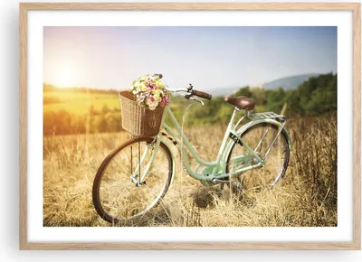 Produktbild von Gerahmtes Poster - Rahmen in heller Eiche - Fahrrad Wiese Blumen - 70x50 cm - Wand Bild - Wanddeko - Wandbilder - Wandposter - Bilderrahmen - Bilder - Kunstdruck - Wandbild - P2NAA70x50-4206