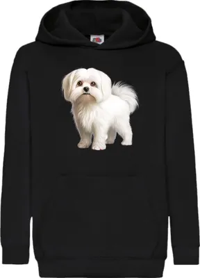 Zdjęcie produktu dla Dziecięca Bluza Z Kapturem Dogs Breeds Maltese Dog Breed 005, 7-8 Jahr - 128 / Czarny