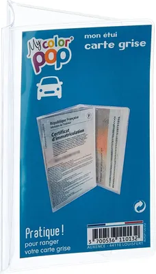 Zdjęcie produktu dla COLOR POP Pojemnik na dokumenty do samochodów ciężarowych 550065 Torba PVC