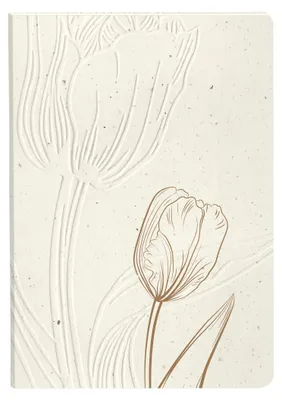 Produktbild von Clairefontaine 4x Notizbuch mit flexiblem Umschlag A5 64 Blatt 813069C