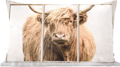Produktbild von MuchoWow® Zierkissen Sofakissen Wohnzimmer Dekokissen 60x40 cm Scottish Hochlandrind - Ansicht - Nebel - Kopfkissen - Polster mit Foto