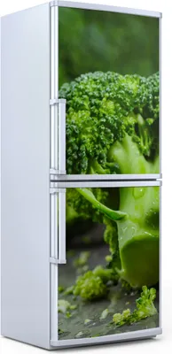 Produktbild von Kühlschrankdekoration  60x180 cm  Aufkleber auf dem Kühlschrank - Gemüse Brokkoli