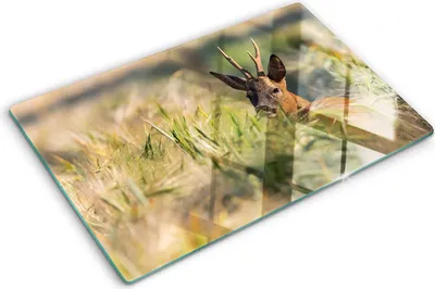 Produktbild von Tulup Glas Herdabdeckplatte - 80x52 cm - Glaskeramikkochfeld-Abdeckung Spritzschutz Glasabdeckplatte - Einteilig - Tiere - Hirsch Feld - Braun