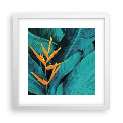 Produktbild von Gerahmtes Poster - Weißer Rahmen - Blumen Tropen Blätter - 30x30 cm - Wand Bild - Wanddeko - Wandbilder - Kunstposter - Wandposter - Bilderrahmen - Bilder - Kunstdruck - P2WAC30x30-5116