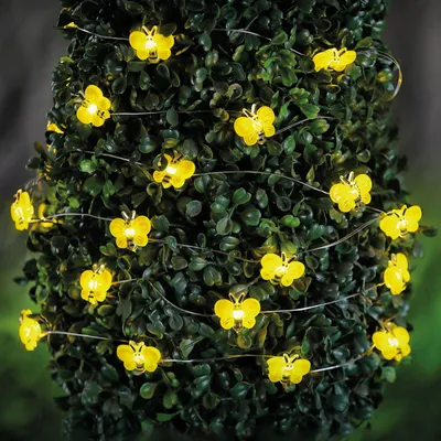 Produktbild von Solarbetriebene LED-Lichterkette – bei – 2,4 m – 25 LEDs – warmweiß 1 Stück [58220D]