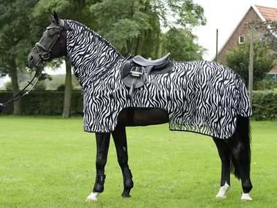 Produktbild von BUSSE Ausreitdecke MOSKITO ZEBRA III, Fliegendecke, Rückenlänge in cm:115,  Farbe:zebra