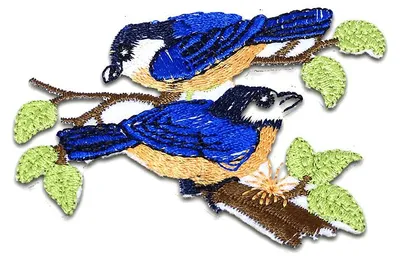 Produktbild von Vögel Auf Ast - Aufnäher, Bügelbild, Aufbügler, Applikationen, Patches, Flicken, Zum Aufbügeln, Größe: 5,4 x 7,3 cm