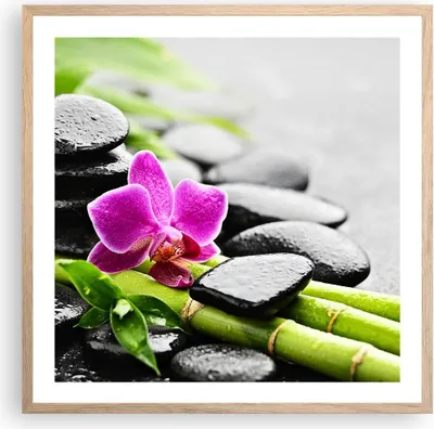 Produktbild von Gerahmtes Poster - Rahmen in heller Eiche - Pflanze Steine Bambus Spa - 60x60 cm - Wand Bild - Wanddeko - Wandbilder - Wandposter - Bilderrahmen - Bilder - Kunstdruck - Wandbild - P2NAC60x60-2681