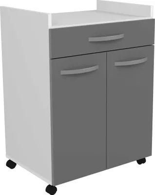 Zdjęcie produktu dla wózek 60 cm - 1 szuflada i 1 drzwiczki - 60 x 44 x 81 cm - kolor szary błyszczący