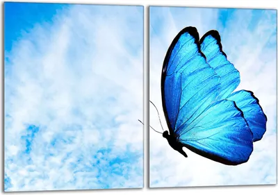 Produktbild von Glasschutzplatte für den Herd 2x40x52 Butterfly