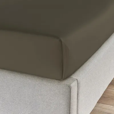 Produktbild von Traumschlaf Feinbiber Haustuch Bettlaken 220x260 cm taupe