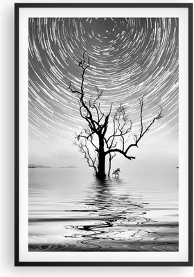 Produktbild von Gerahmtes Poster - Schwarzer Rahmen - Schwarzweiß Baum See - 61x91,5 cm - Wand Bild - Wanddeko - Wandbilder - Kunstposter - Wandposter - Bilderrahmen - Bilder - Kunstdruck - Wandbild - P2BPA61x91-4253