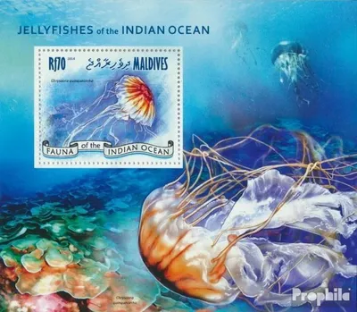 Produktbild von Briefmarken Malediven 2014 Mi Block 699 (kompl. Ausg.) postfrisch Quallen