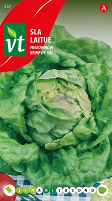 Produktbild von Kopfsalat May Queen Samen - Ca. 3 gr | VT_557