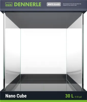 A product shot of a clear glass nano aquarium.