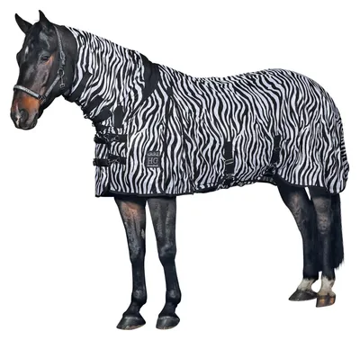 Immagine prodotto di Coperta antizanzare Horse Guard per cavalli, motivo zebrato - 145 cm