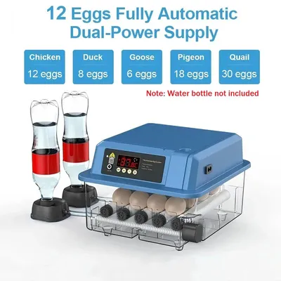 Image de Incubateur automatique - Incubateur pour volailles - Convient aux œufs de poules, de canards et de caille - Contrôle de la température - Couleur : bleu