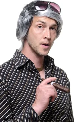 Produktbild von WIG ME UP Perücke Herrenperücke Schwarz & Silbergrau P68875