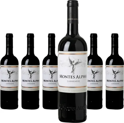Produktbild von 6 x Montes Alpha Carmenère