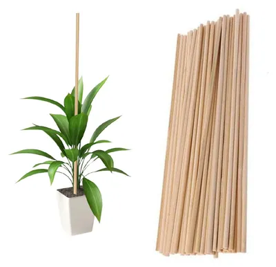 Obrázek produktu pro Bambusové tyče, 40 cm - 45 kusů - Opakovaně použitelné - Podpora pro rostliny - Udržitelné - Přírodní bambus - Podpěry pro rostliny