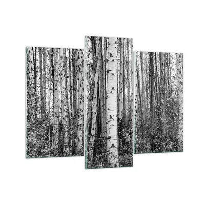 Produktbild von Bilder auf glas - 3 Teile - Birken Wald Monochrom - 130x100cm - Glasbilder - Wandbilder - Bilder - zum Aufhängen bereit - Wanddekoration aus Glas - Glas Bilder - Wandbild auf Glas - GCB130x100-4643
