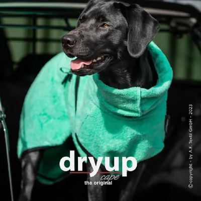 Produktbild von Dryup Cape mint L (65cm)
