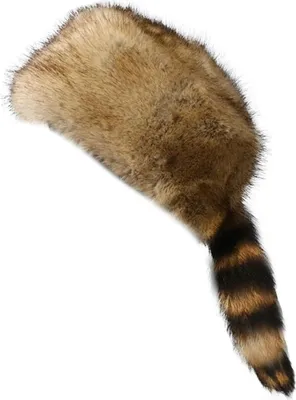 Produktbild von Altsuceser Waschbärschwanz aus Kunstfell, rund, flache Oberseite, Boone-Hut, Waschbärschwanz, Mützen für den Winter