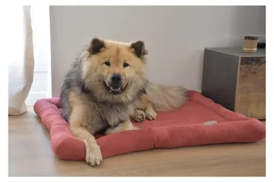 Immagine prodotto di Materassino morbido per cani e gatti, extra soffice, in peluche, lavabile in lavatrice