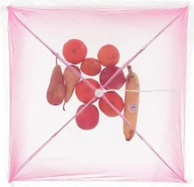 Immagine prodotto di Coperchio per alimenti Poliestere 45Cm 4 tipi