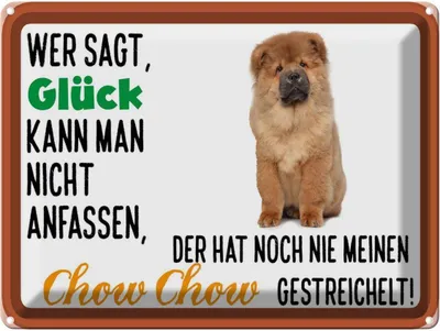 Produktbild von vianmo Blechschild 30x40 cm Glück nicht anfassen Chow Hund