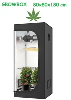 Produktbild von JUNG Growbox Growzelt Indoor 80x80x180cm Premium Mylar 97% reflektierend, Hydroponisches System, Gewächshaus Cannabis Balkon, Wasserdicht, Grow Tent