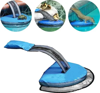 Produktbild von Auffahrrampe Rettungsrampe für Pool, Kleintier Swimming Fluchtrampe Sicherheit