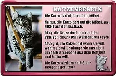 Produktbild von WOGEKA ART Retro Blechschild - Katzenregeln - 20x30 cm Geschenk-Idee 1018
