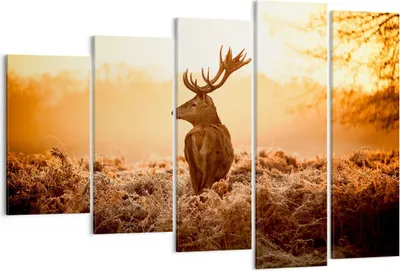Produktbild von Bild auf Leinwand - Leinwandbild - Hirsch Natur Feld - 150x100cm - Wand Bild - Wanddeko - Leinwanddruck - Bilder - Kunstdruck - Wanddekoration - Leinwand bilder - Wandkunst - EG150x100-3632