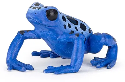 Image de Papo - Grenouille equatoriale bleue