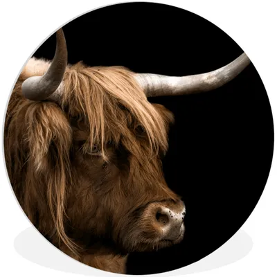 Produktbild von MuchoWow® Rundes Wandbild - Runde Bilder Schottischer Highlander - Tiere - Kuh Ø 30 cm Kreis Wanddekoration Kunststoff - Wandkreis - Wandschmuck - Schlafzimmer - Bilder - Der Kreis - Kunst für die Wohnung - Plastik - Kunstdruck - Wandbild